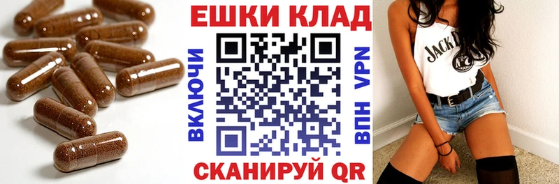 ЭКСТАЗИ Punisher  Купить закладки  Новочебоксарск