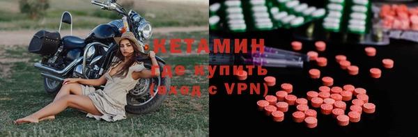 прущие грибы Каменка