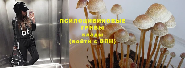 прущие грибы Каменка