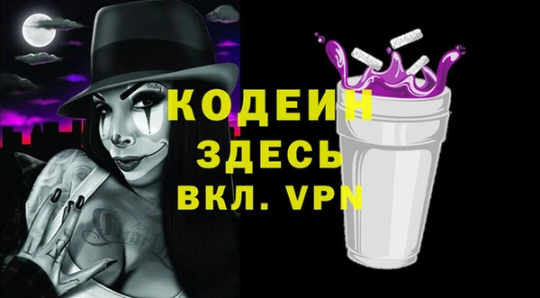 прущие грибы Каменка
