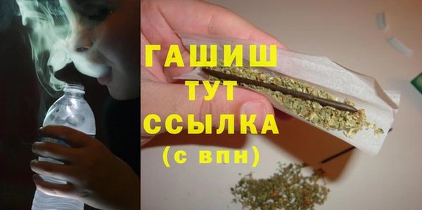прущие грибы Каменка