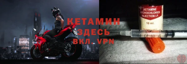 прущие грибы Каменка