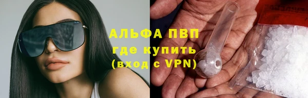 mdpv Каменногорск