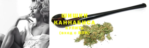 прущие грибы Каменка