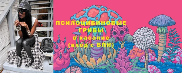 прущие грибы Каменка