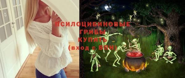 твердый Каменск-Шахтинский