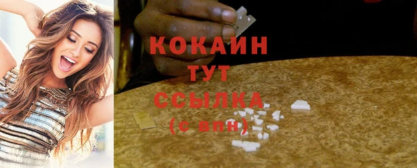 твердый Каменск-Шахтинский