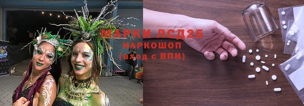 mdpv Каменногорск