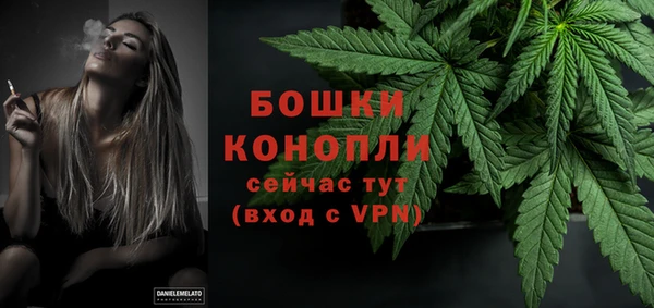прущие грибы Каменка