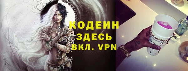 прущие грибы Каменка