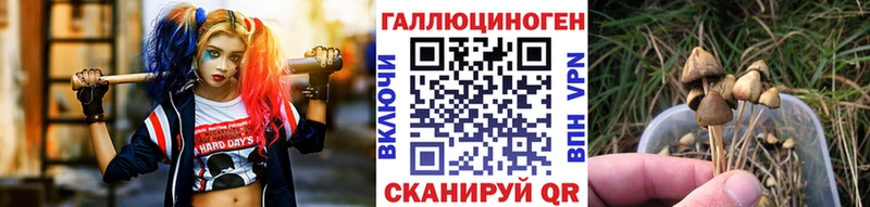 Галлюциногенные грибы MAGIC MUSHROOMS  Купить где  Новочебоксарск 