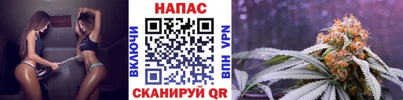Купить где  Новочебоксарск  Конопля тримм